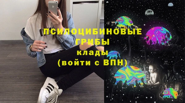 бошки Армянск