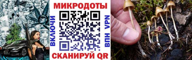 Псилоцибиновые грибы Magic Shrooms  как найти   нарко площадка формула  Южно-Сухокумск 